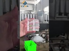 Hochwertige industrielle Pelleteismaschine in Betrieb genommen