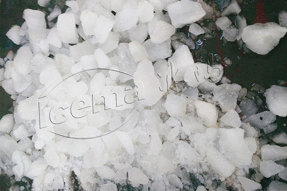 Haushaltsentsafter Ice Crusher Gewerbliches Hotel im Freien