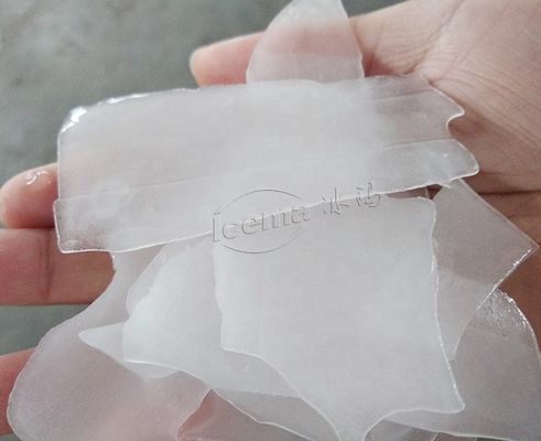 6500 KG Spannung 380V/3P/50HZ Eisschnecke Maschine für die Meeresfrüchtefischerei auf der März-Handelsmesse