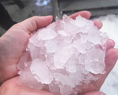 Frische Aufbewahrung Bitzer Kompressor ICEMA Mini Eismaschine für die tragbare Eisproduktion