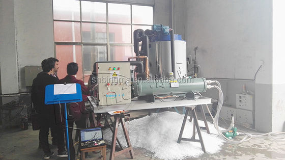 Maschine zur Herstellung von Flach-Eis für hohe Produktivität in der industriellen Fischerei