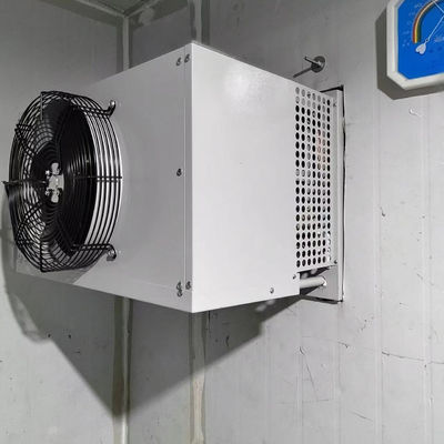 Industrieller Kühlraum-Gefrierschrank Verdunstungskondensationseinheit